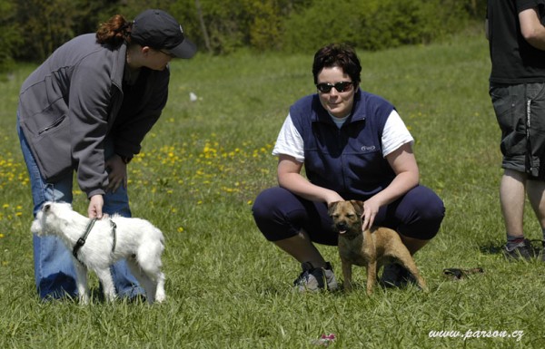 Dalmatin and Parson Cup 2008