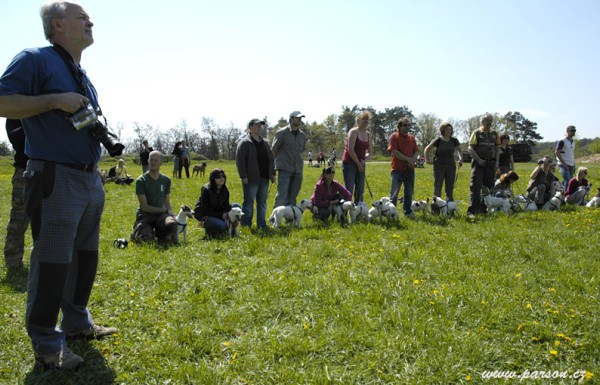 Dalmatin and Parson Cup 2008