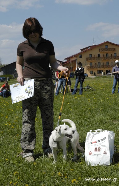 Dalmatin and Parson Cup 2008