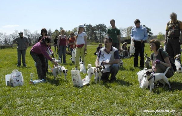 Dalmatin and Parson Cup 2008