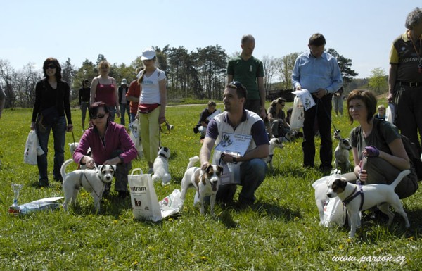 Dalmatin and Parson Cup 2008