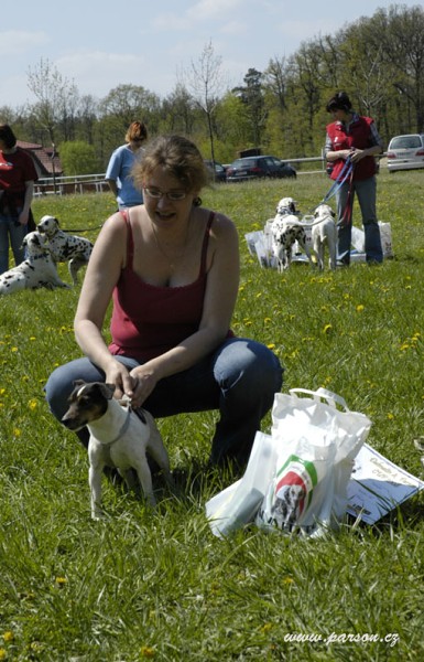 Dalmatin and Parson Cup 2008