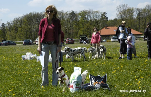 Dalmatin and Parson Cup 2008