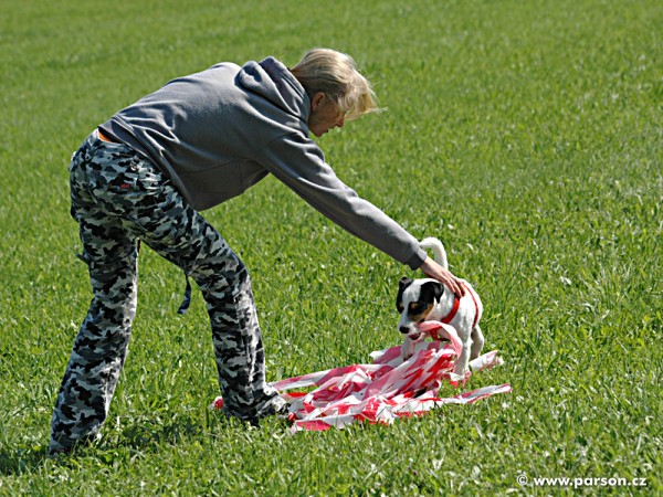 Pohár města Litomyšle 2006