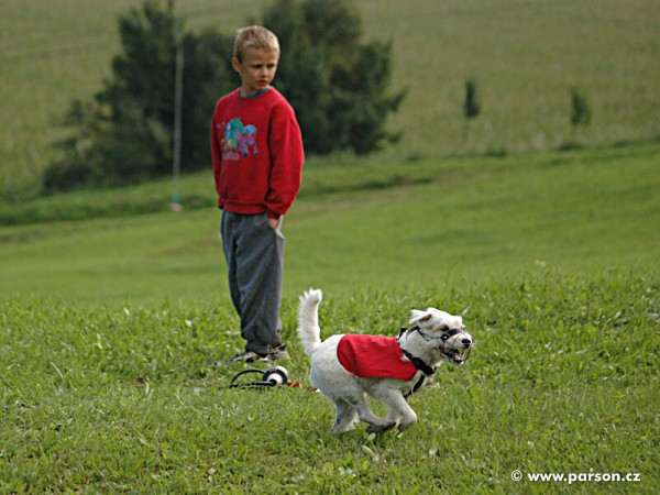 Pohár města Litomyšle 2006