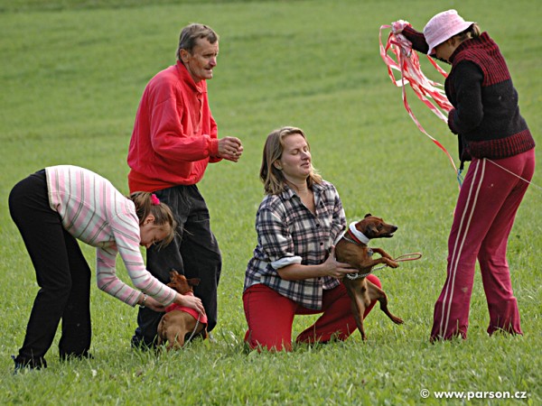 Pohár města Litomyšle 2006