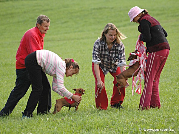 Pohár města Litomyšle 2006