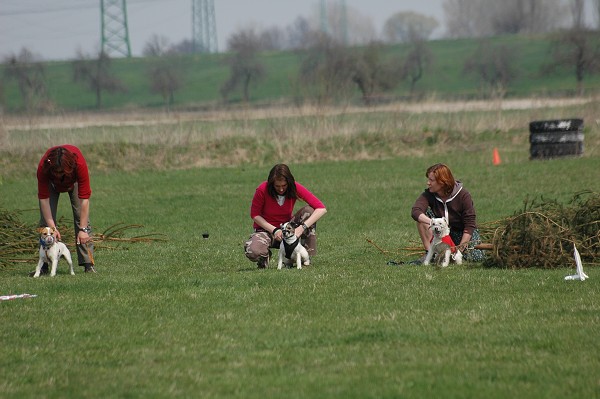 Coursing
