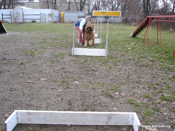 Flyball