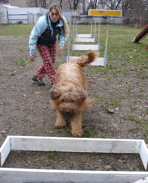 Flyball