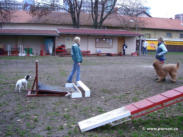 Flyball