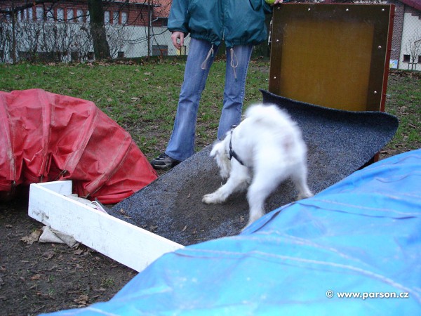 Flyball