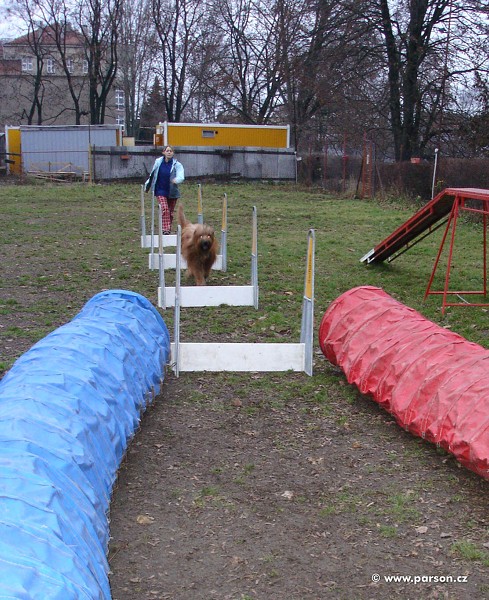 Flyball