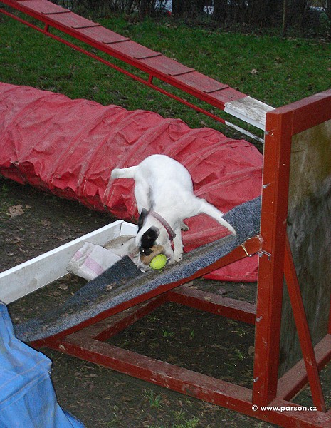 Flyball