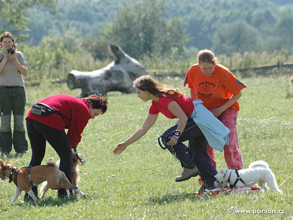 Dovolená Jeseníky 2006