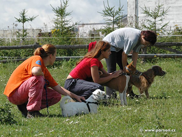 Dovolená Jeseníky 2006