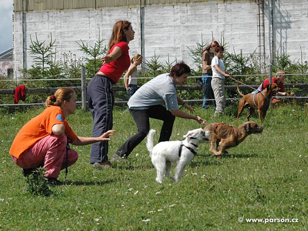 Dovolená Jeseníky 2006