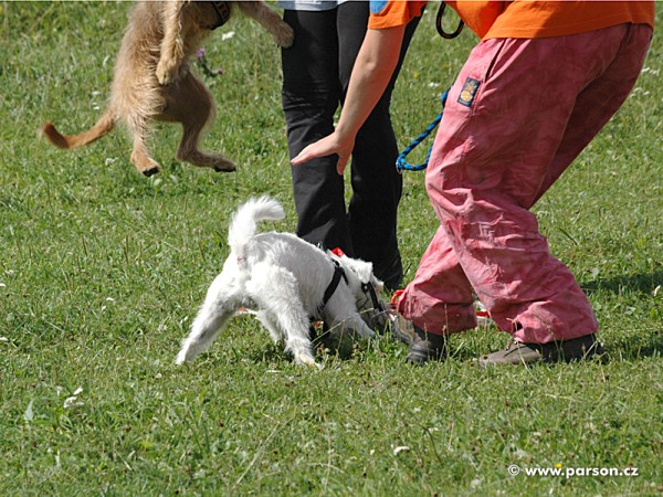 Dovolená Jeseníky 2006