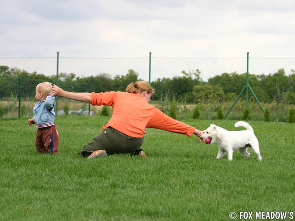 Návštěva ve Fox Meadow´s