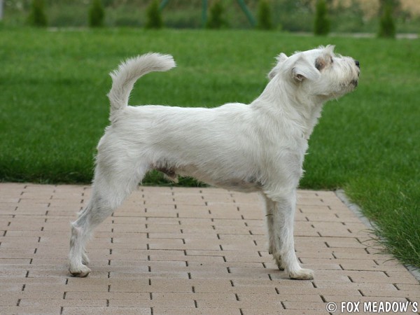 Návštěva ve Fox Meadow´s