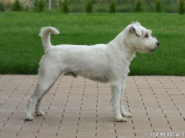 Návštěva ve Fox Meadow´s