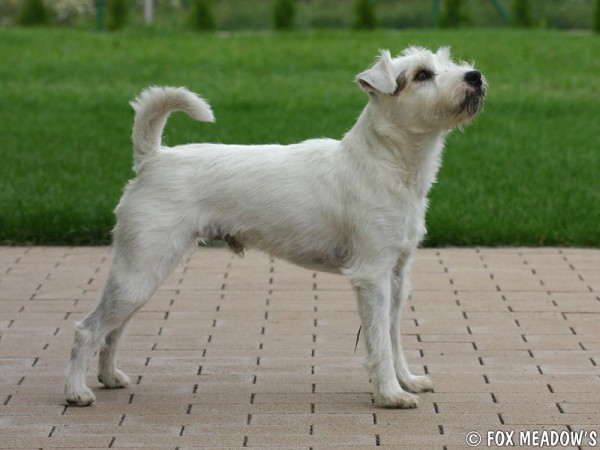 Návštěva ve Fox Meadow´s
