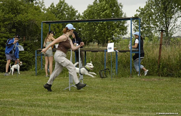 Parsoniáda 2007