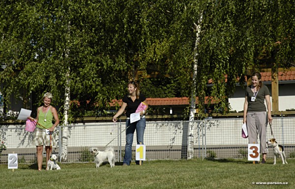 Parsoniáda 2007