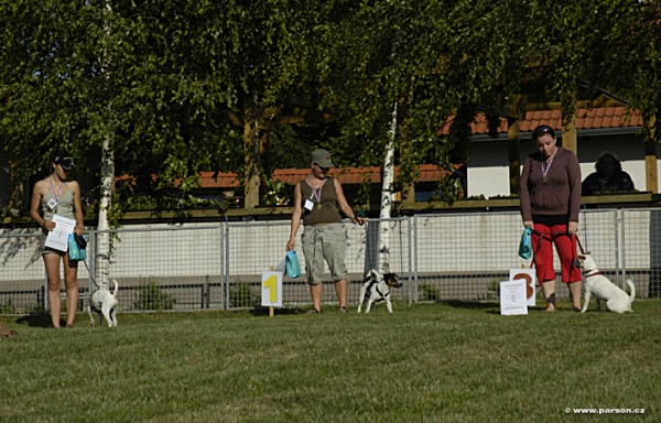 Parsoniáda 2007