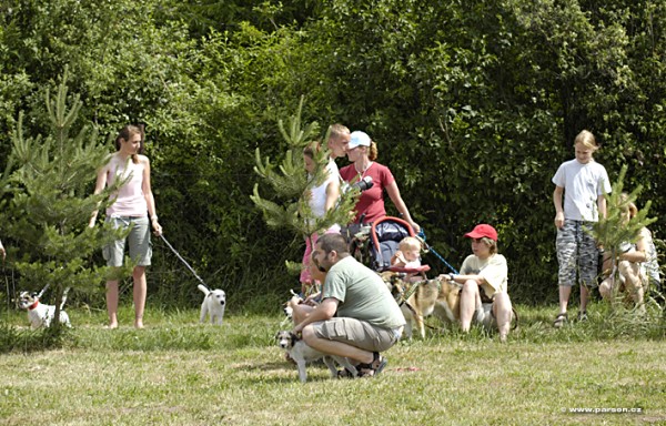 Parsoniáda 2007