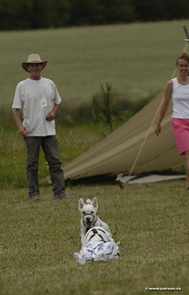 Parsoniáda 2007