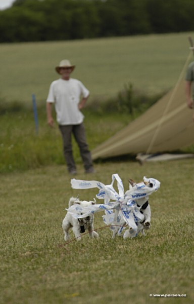 Parsoniáda 2007
