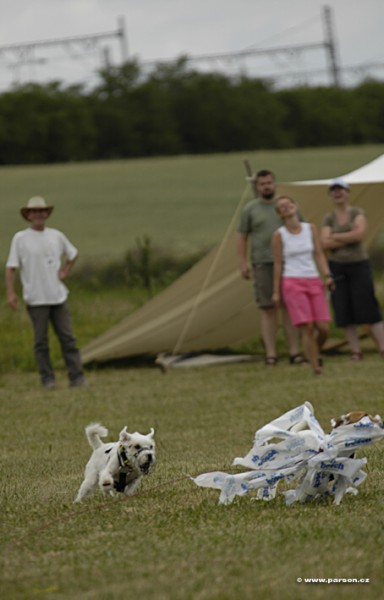Parsoniáda 2007