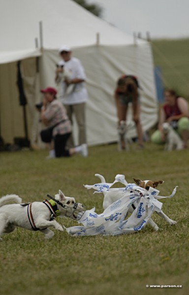 Parsoniáda 2007
