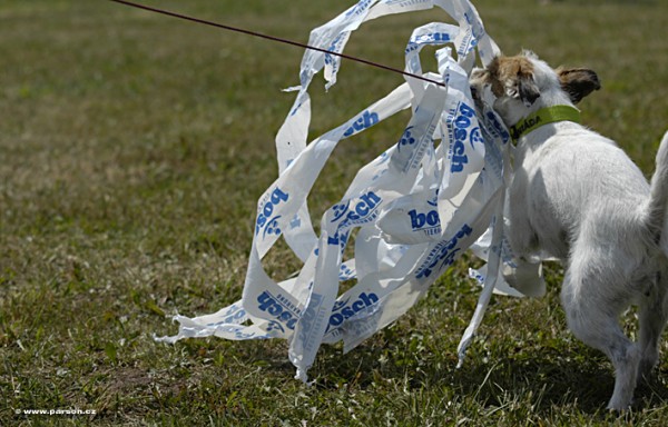 Parsoniáda 2007