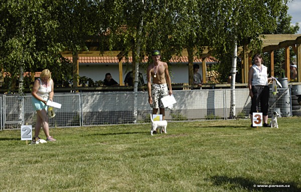 Parsoniáda 2007