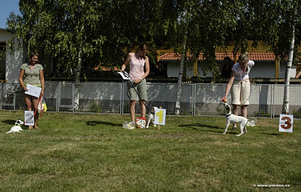 Parsoniáda 2007