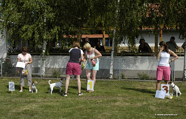 Parsoniáda 2007