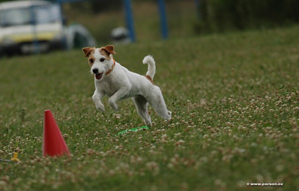 Parsoniáda 2007