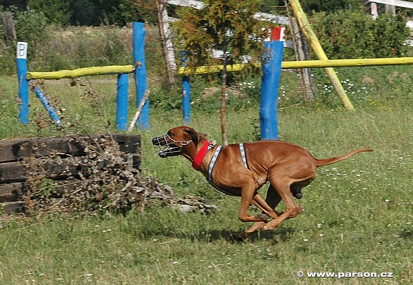 O pohár starosty Otrokovic 2006