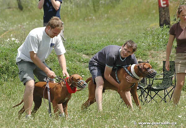 O pohár starosty Otrokovic 2006