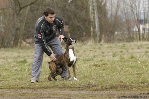 Coursing Ráječko