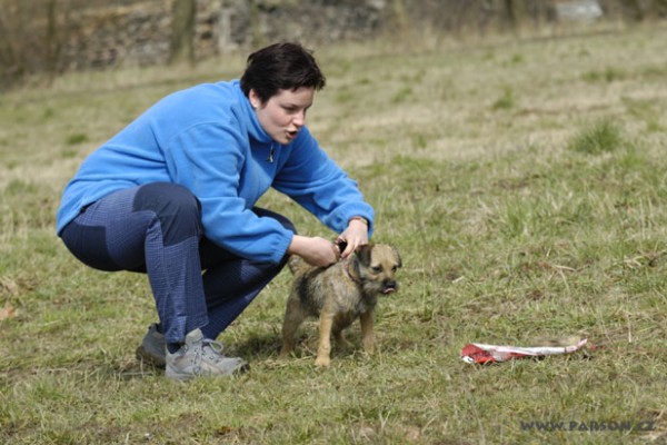 Coursing Ráječko