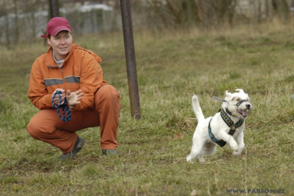 Coursing Ráječko