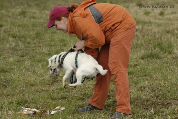 Coursing Ráječko