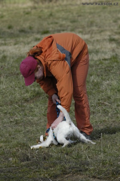 Coursing Ráječko