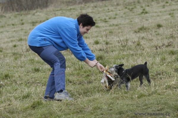 Coursing Ráječko
