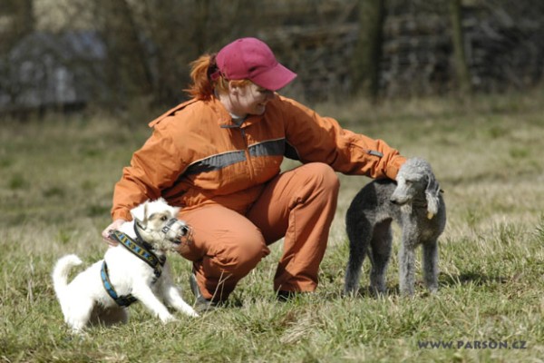 Coursing Ráječko