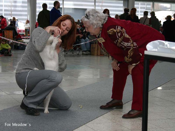 Společenské foto