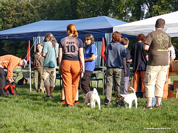 Stromovka Disc Dog freestyle